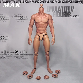 1/6 Obsega 3.0 Mišične Logan Moškega Telesa Akcijska Figura Z Brezhibno Roke Model Igrače