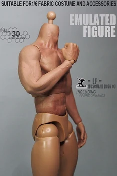 1/6 Obsega 3.0 Mišične Logan Moškega Telesa Akcijska Figura Z Brezhibno Roke Model Igrače