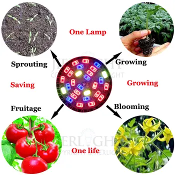 10pcs Celoten Spekter Led Grow Light Led Grow Svetilka Hydroponic Sistemov Najboljše za Zdravilne Rastline Rasti, Cvetenja