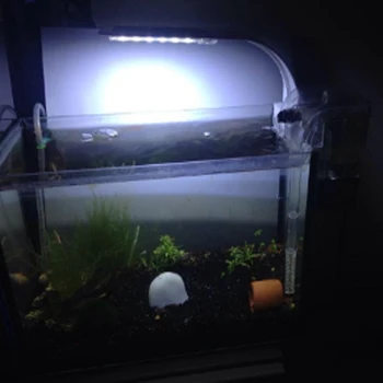 10W Aquarium LED Grow Light Blue & White Nano LED Luči Akvarij Reef Aquarium LED Luč za Ribe Cisterne