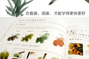 28,5 X 21 CM 128 strani Knjige Za Tradicionalno Kitajsko Slikarstvo Spretnost Učenja Kitajskega Slikarstva Knjige Za 