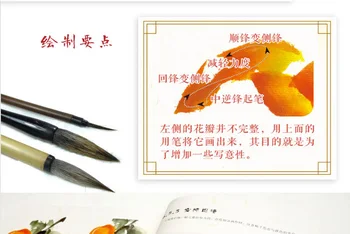 28,5 X 21 CM 128 strani Knjige Za Tradicionalno Kitajsko Slikarstvo Spretnost Učenja Kitajskega Slikarstva Knjige Za 