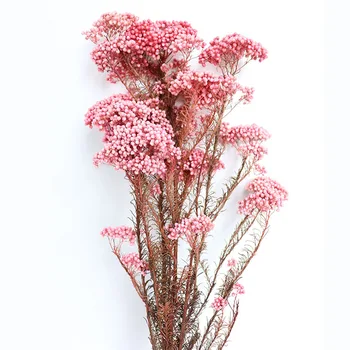 30-45 cm Naravni Rastlinski Posušen Cvet Konzervirane Sveže Nesmrtni Proso Cvet Šopke Darilo Za Dom Dekor svate, Dekoracijo