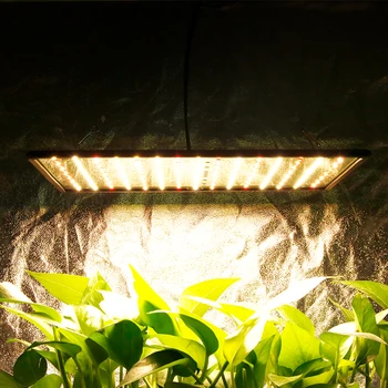 3pcs LED Grow Light 1000W Lučka Za Rastline Celoten Spekter Ffs Lučka Fitolampy Zaprtih Zelišča Svetlobe Toplogrednih Led Rastejo Šotor Polje