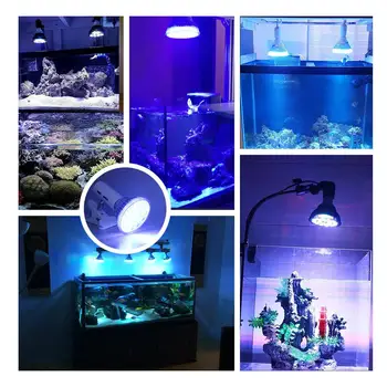 54W UV LED Led luči Akvarij Ribe Razsvetljavo Fish Tank Rastejo Lučka Rastlin Žarnica za Morske Morski Koralni Greben Kadi Algo