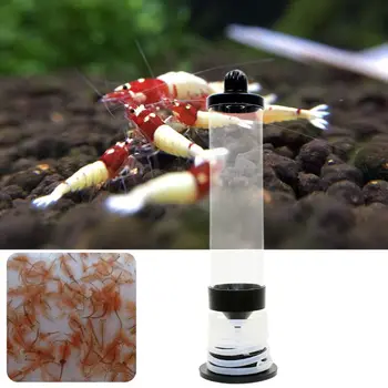Akvarij Slanici Kozice Hatcher Orodje Inkubator Artemia Jajca Valilnica Fish Tank