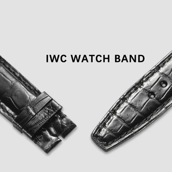 CHIMAERA Usnje Watch Band Ameriški Nil Aligator Zrna Ročno 20 mm 21 mm 22 mm Pravega Usnja Zapestnica za IWC Watch Trak