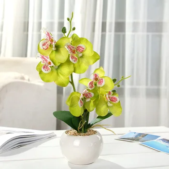Dvojne Vilice Phalaenopsis Bonsaj umetno cvetje poroka doma dekor mariage svile Umetnih rastlin manualidad Posajenih rastlin