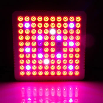 Led Grow 1000W Celoten Spekter Žarnice Za Rastline Rdeča Modra Bela IR UV LED Ffs Lučka Notranji rasti Cvetenja Rastejo Šotor Polje Luči
