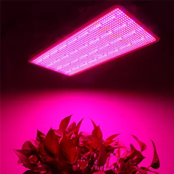 LED Grow Light 1600W Celoten Spekter Ffs Lučka Fitolampy Toplogrednih Hydroponic Zaprtih prostorih, Raste Šotor Rastline, Sadike Zelenjave Cvet