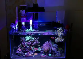 LED Luči Akvarij Zaprtih Luči Akvarij, ki Slano vodo spreminja Osvetlitev z Touch Kontrole za Koralni Greben Fish Tank Za Noopsyche K7 II