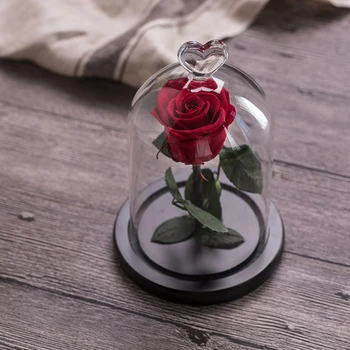 Lepota In Zver Konzervirane valentinovo Darilo Izključno Rose V Stekleno Kupolo Z Lučmi Večno Pravi Rose materinski Dan Gif