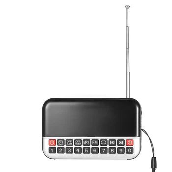 Longruner FM Radio, Digital Stereo Zvočnika 12 cm LED Zaslon Alarm in Ura USB Disk TF Kartice AUX 1500mAh Baterija
