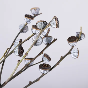 Modra Eucalyptus Sadje Posušen Cvet Naravni Rastlinski Res Cvetje Doma Dekoracijo DIY Art Club Cvetlični Aranžma