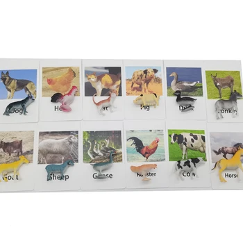 Montessori Izobraževalne Zgodnje Učenje Igrače Učenje Angleščine Živali Otroci Kartico Za Otroke Rojstni Dan Gif