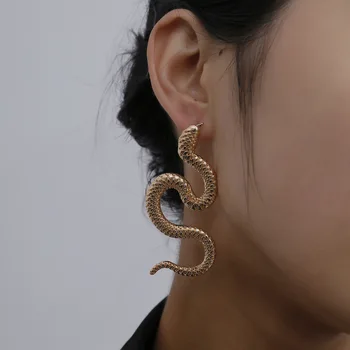 Nakit osebnost popačeni geometrijo hip-hop uhani ženska kača pretirana moda embossment dolgi uhani