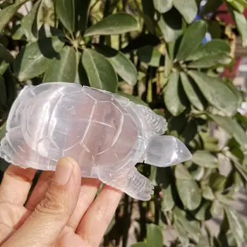 Naravno bela selenit tortoise rezbarije sadra kristalno želva Figur