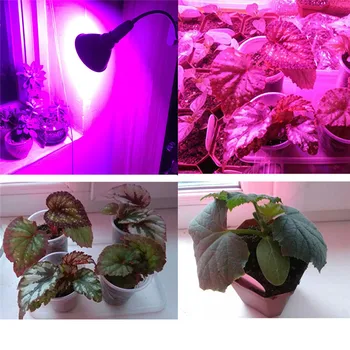 Novo Prišli 290 Led Rastlin Raste Lučka Celoten Spekter Cvet Rast Svetlobe, UV, IR Žarnice Hydroponic Rastlinskih Šotor Razsvetljavo