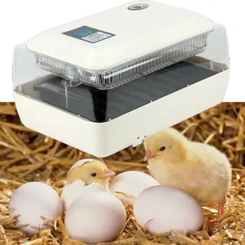 Samodejno Plemenskih Pralni 24 Jajca Inkubator z Digitalnim prikazom Temperature, Alarm za Jajce Izbruh Piščancev Prepelic Perutnine