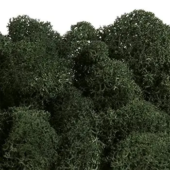 Simulacija Dekoracijo Umetno Drevo Naravnih Moss Rastlinskih Slikarstvo Božič Lončnice-Okraski Drevo-Lončnice