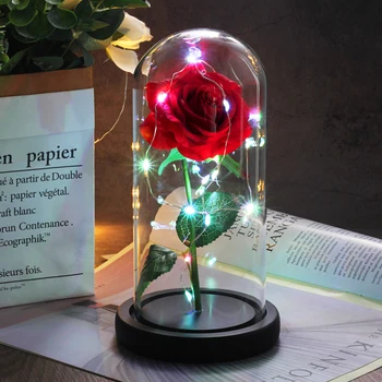 Umetni Večno Rose Lepota In Zver Rose V steklen Pokrov LED Nočna Lučka Za Dom Dekor Mati valentinovo, Novo Leto Darilo