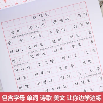 Učenje Korejski Kaligrafija Knjiga Korejski Pisanje Knjige Pisanje Korejski Knjiga