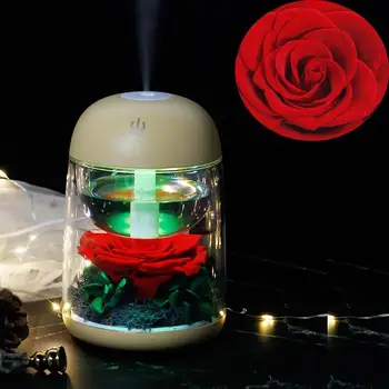 Vlažilnik Lepota in Zver Rose valentinovo Darilo Večno Rose S Pisanimi Noč Svetlobe v Zraka Čistilec Darilo za Rojstni dan